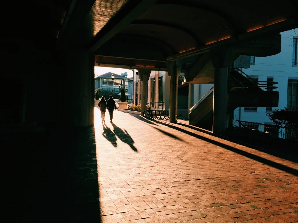 vsco_020816.jpg