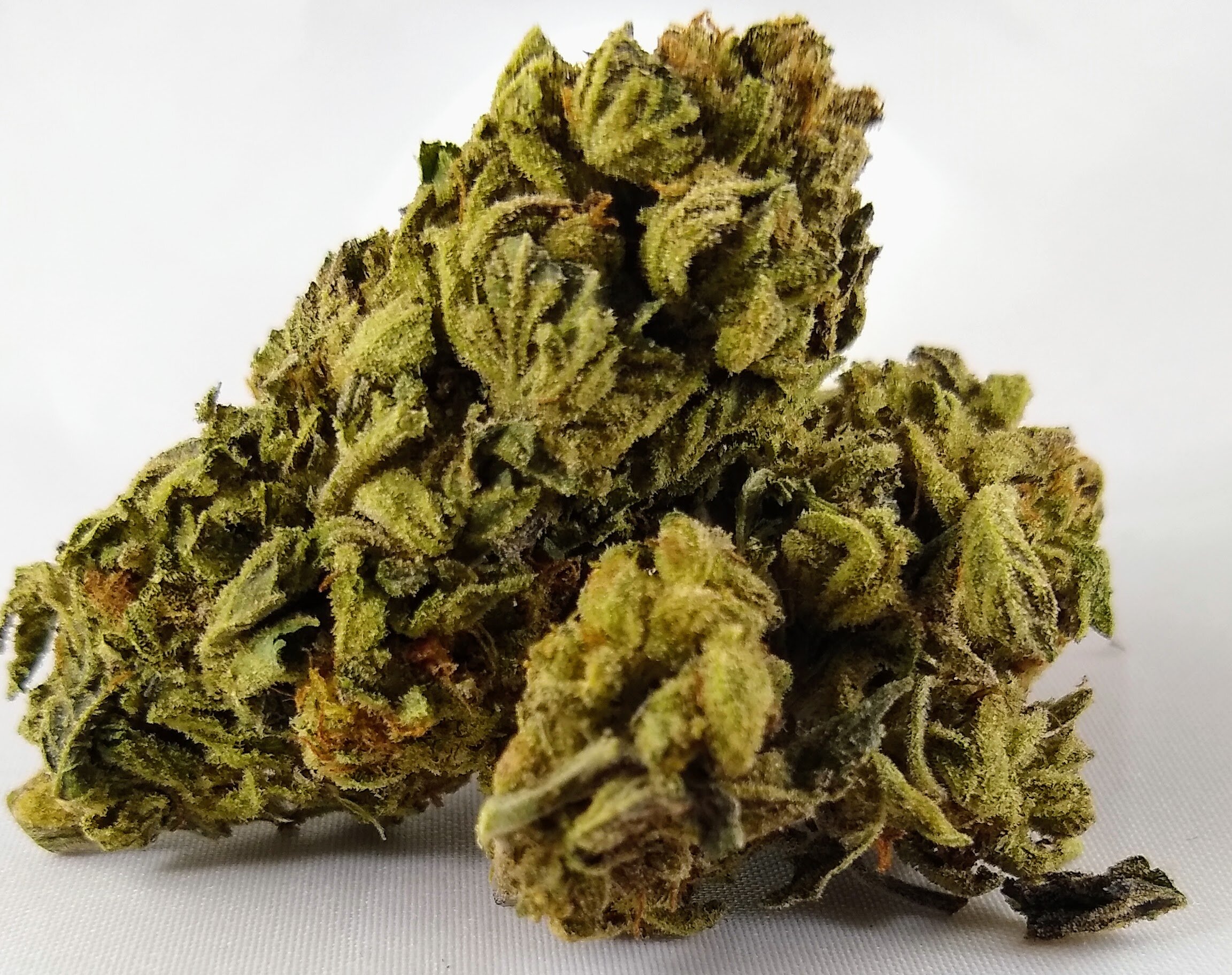 Featured Strain Chocolate Marshmallow