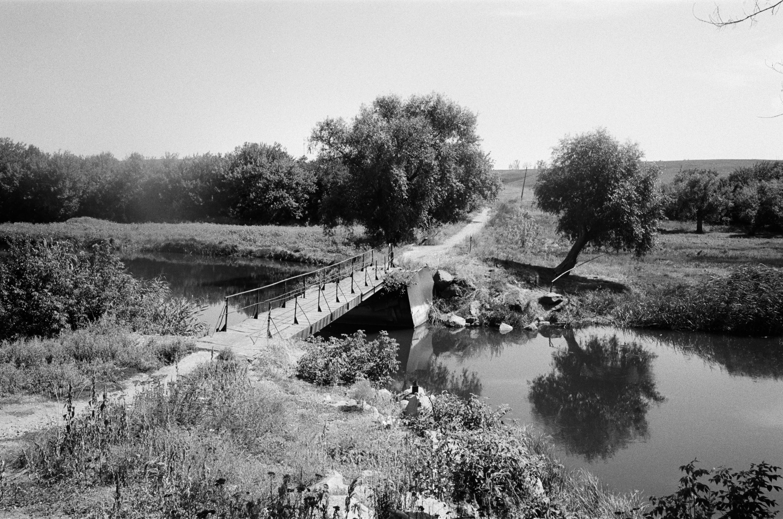 0015_###-4.jpg