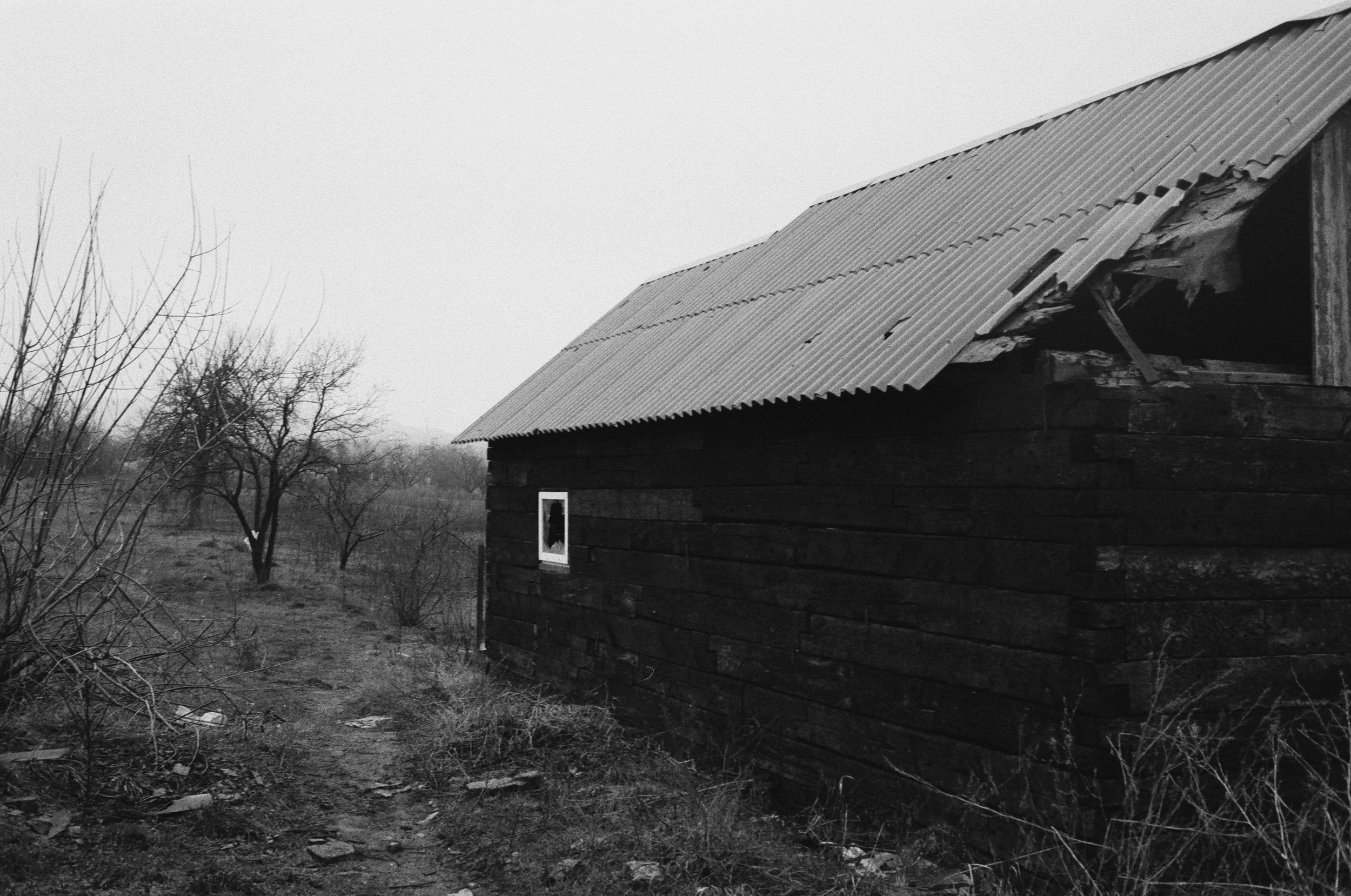 0017_###-2.jpg