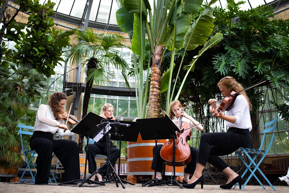 Ochtendconcert van Helikon Quartet - Grachtenfestival