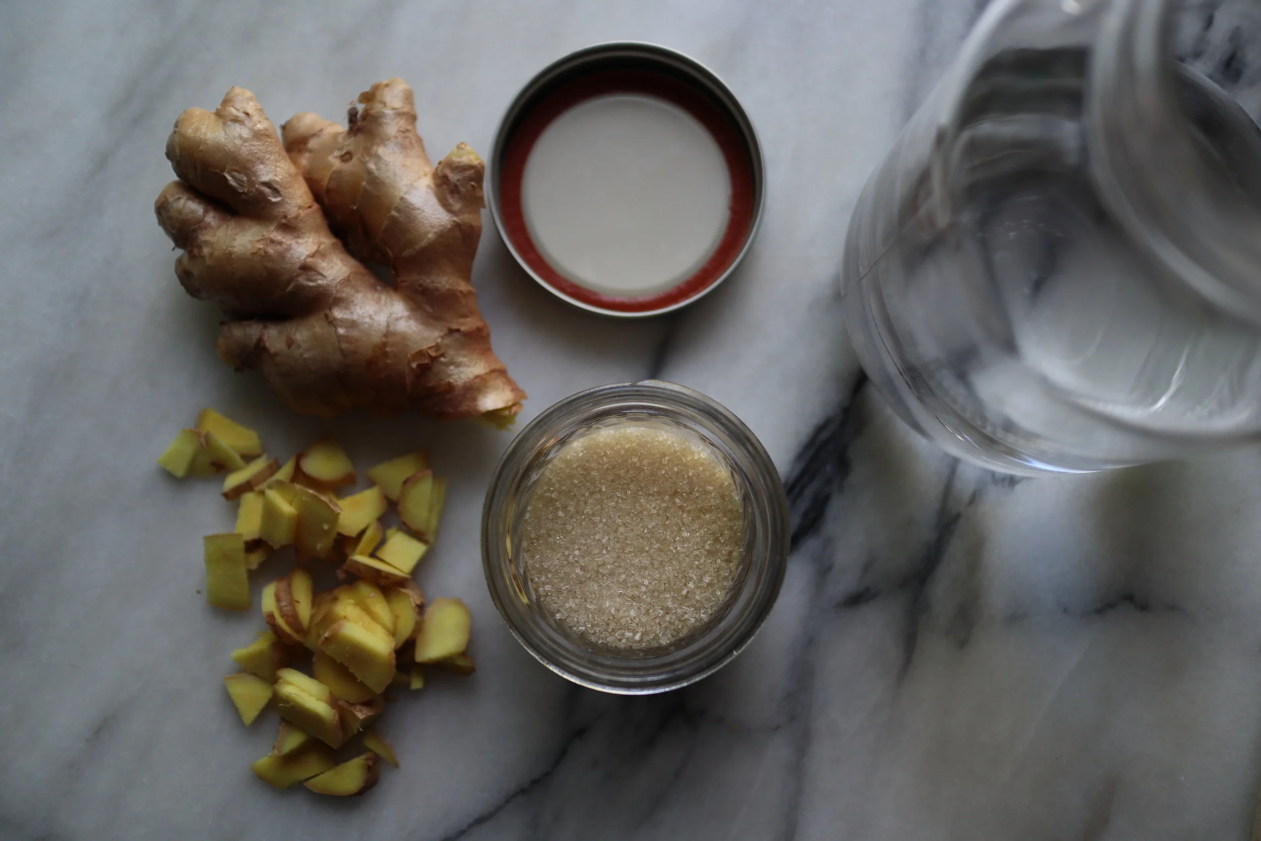 The Basics / Ginger Bug Probiotic Soda at Home — Deeply Nourished Life