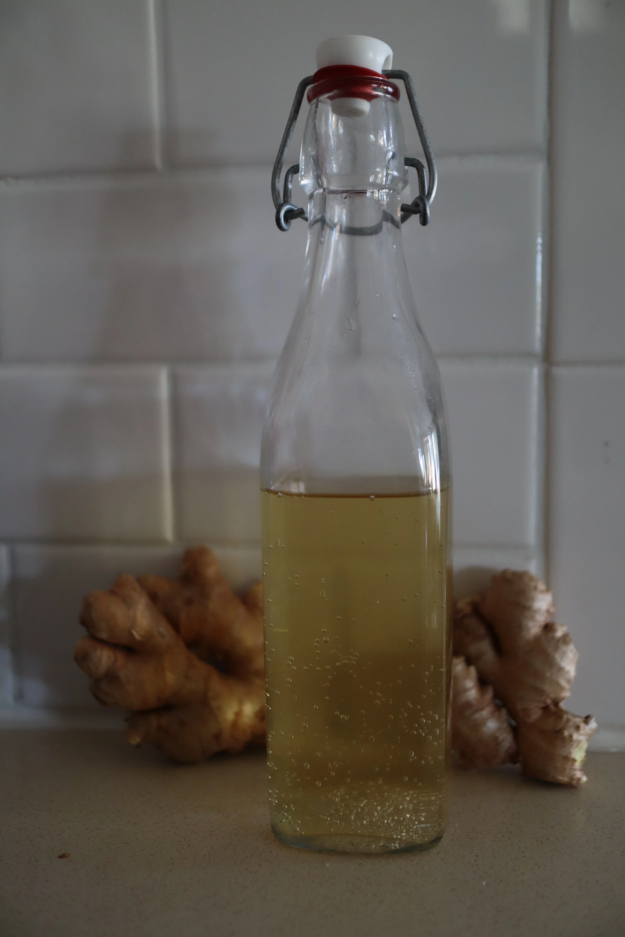 The Basics / Ginger Bug Probiotic Soda at Home — Deeply Nourished Life