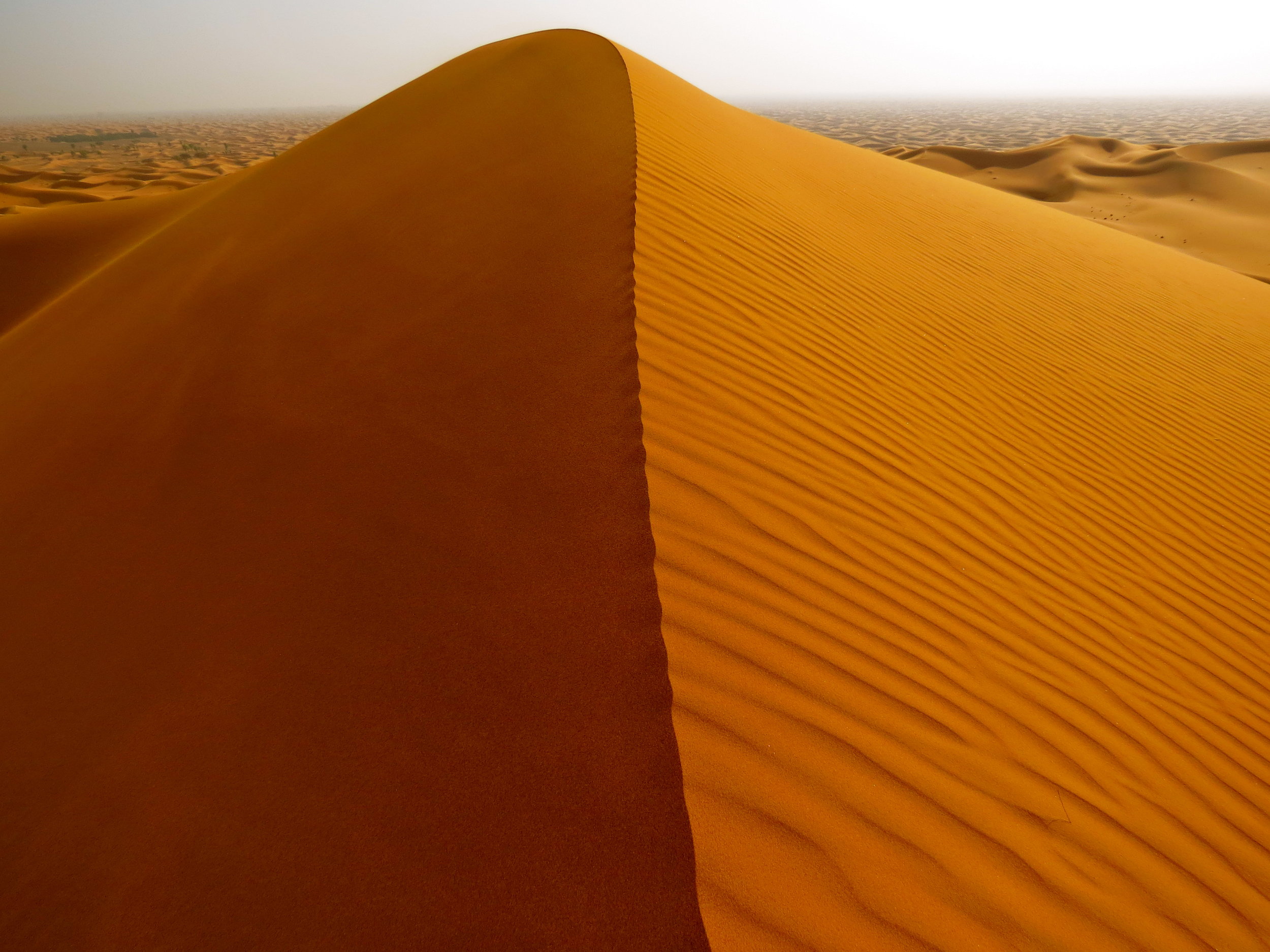 I took this picture in the Arabian Desert. I like to think of it as a metaphor for my skill-set as I bring together quantitative and qualitative skills to find a path for the challenges I tackle.