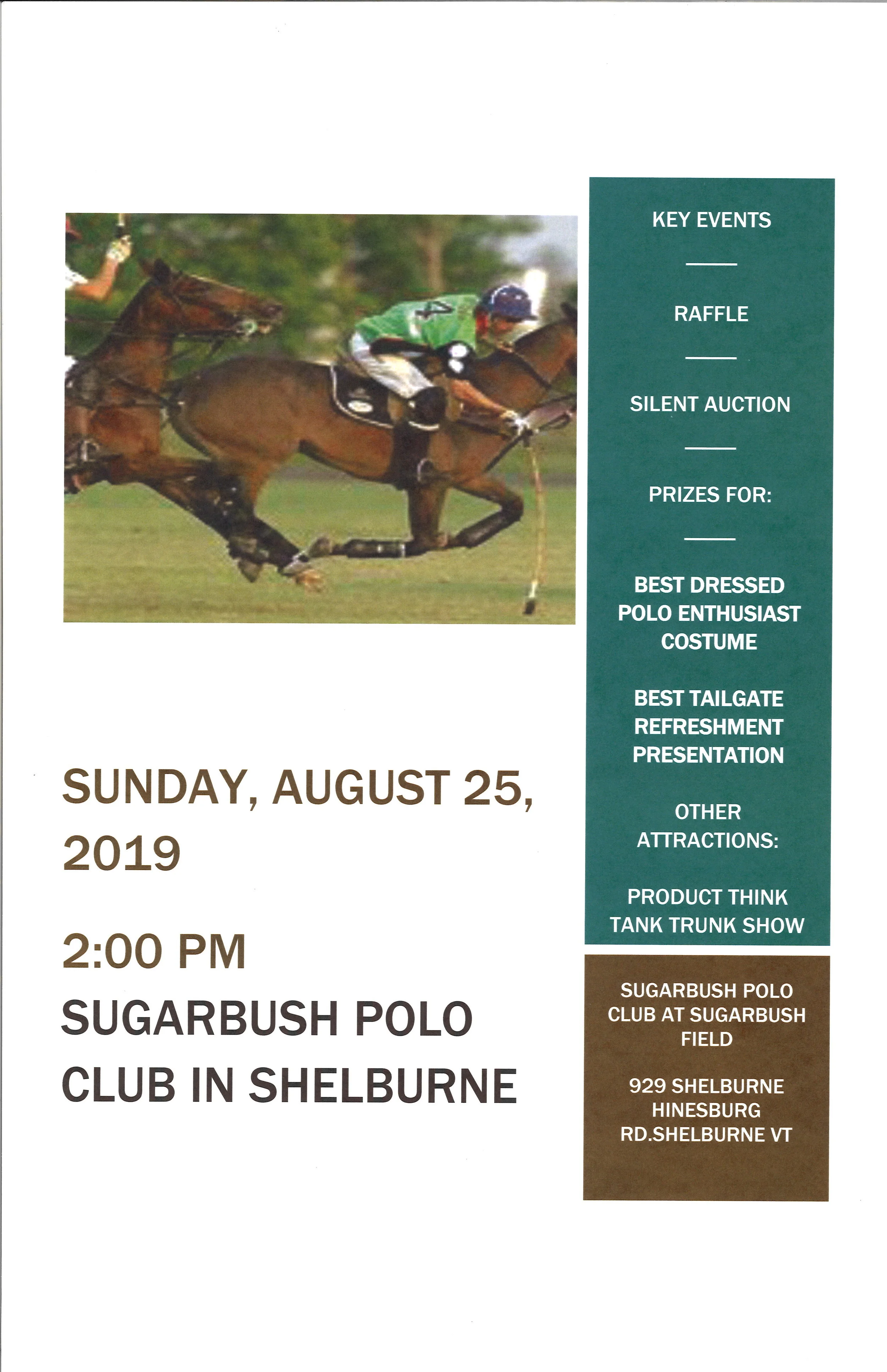 Sugarbush Polo Match To Benefit Prevent Child Abuse Vermont — Prevent