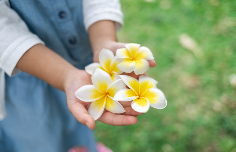 In Memory of Lois McClure: A Champion for Education and Vermont’s Youth