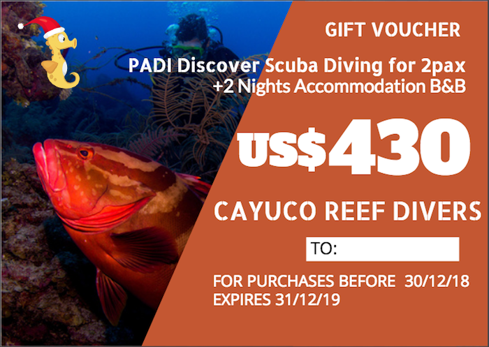 Discover Scuba Diving + 2 Nights B&B For 2 persons. Taxes included. Para 2 personas. Impuestos incluídos.