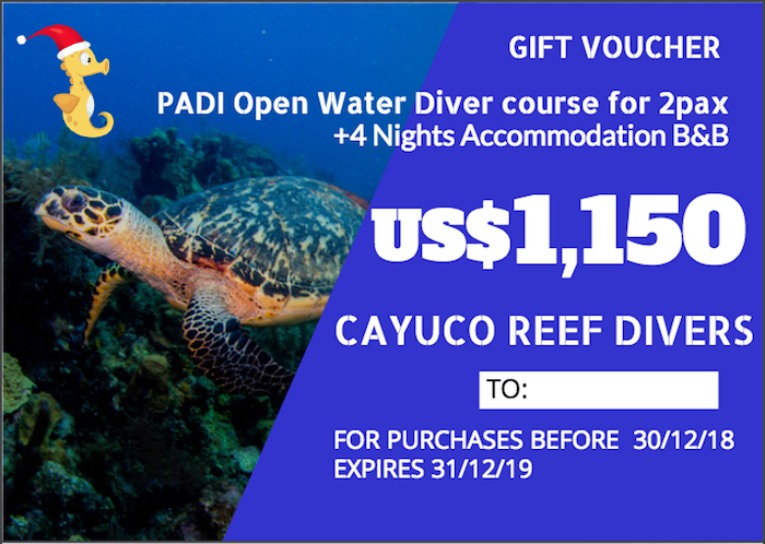 PADI OWD course + 4 Nights B&B For 2 persons. Taxes included. Para 2 personas. Impuestos incluídos.