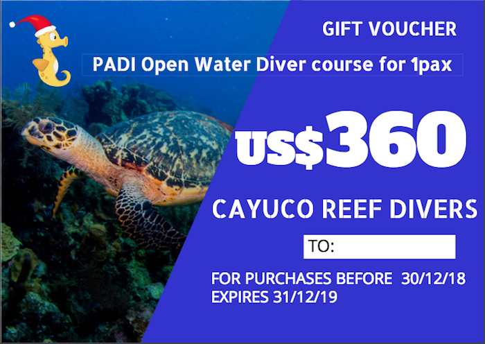 PADI Open Water Diver course For 1 person. Taxes included. Para 1 persona. Impuestos incluídos.