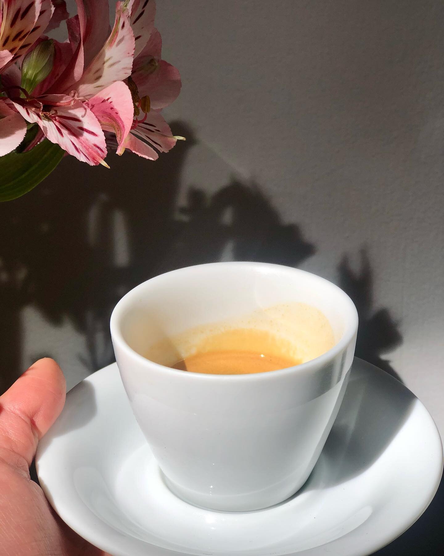 Espresso con sabor a Casa.
.
.
Casa Cafe&oacute;logo, la Casa que sabe y huele a caf&eacute;.
.
.
#CasaCafeologo #BedAndBreakfast #Chiapas #SanCristobal #Cafe