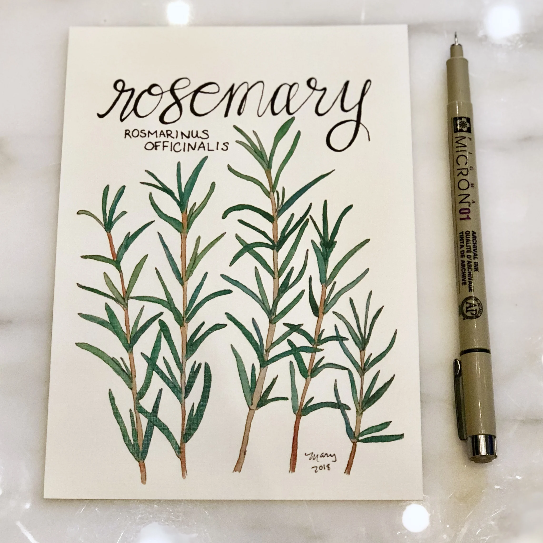 Rosemary.jpg