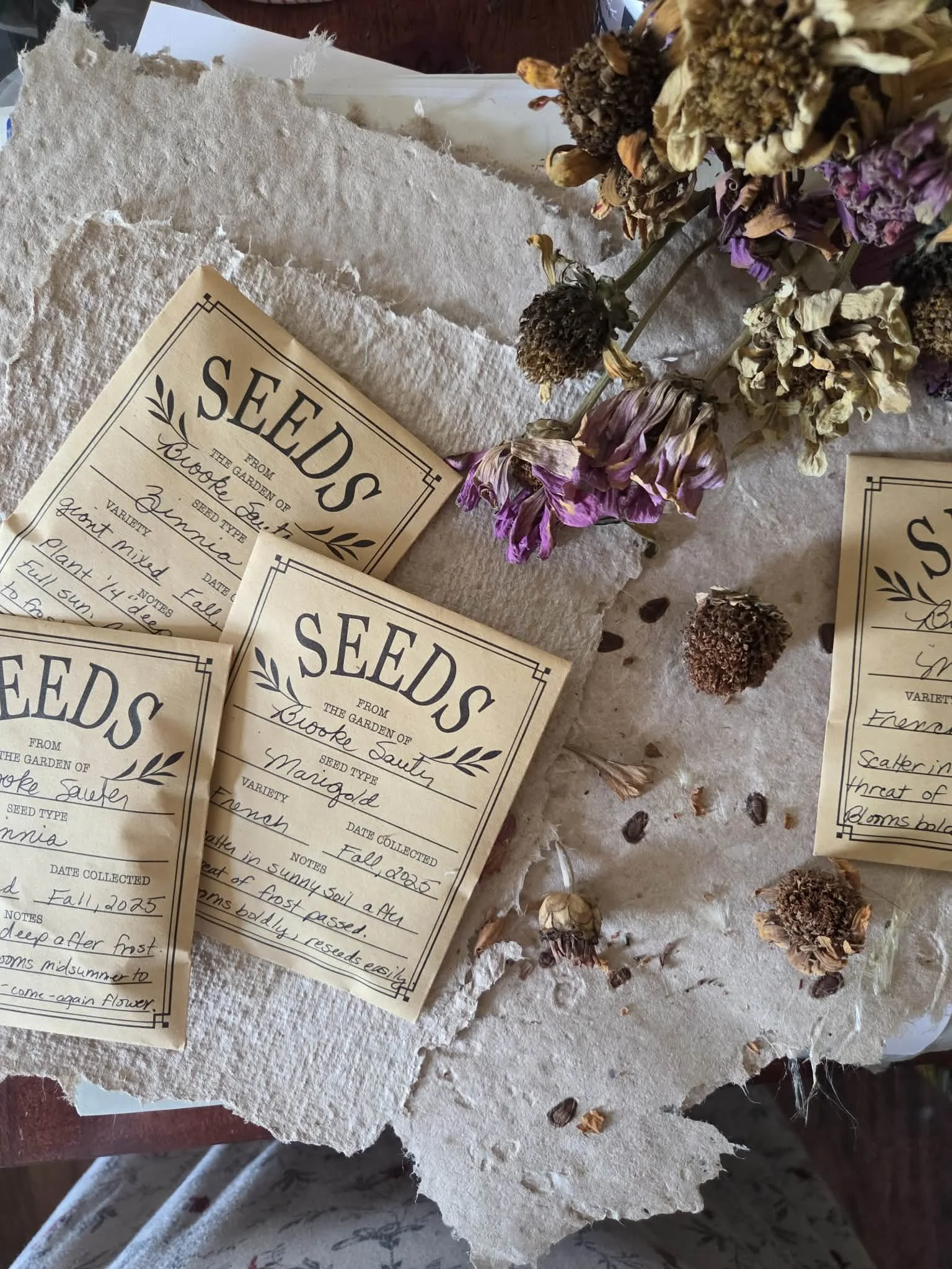 brooke and seeds.jpeg