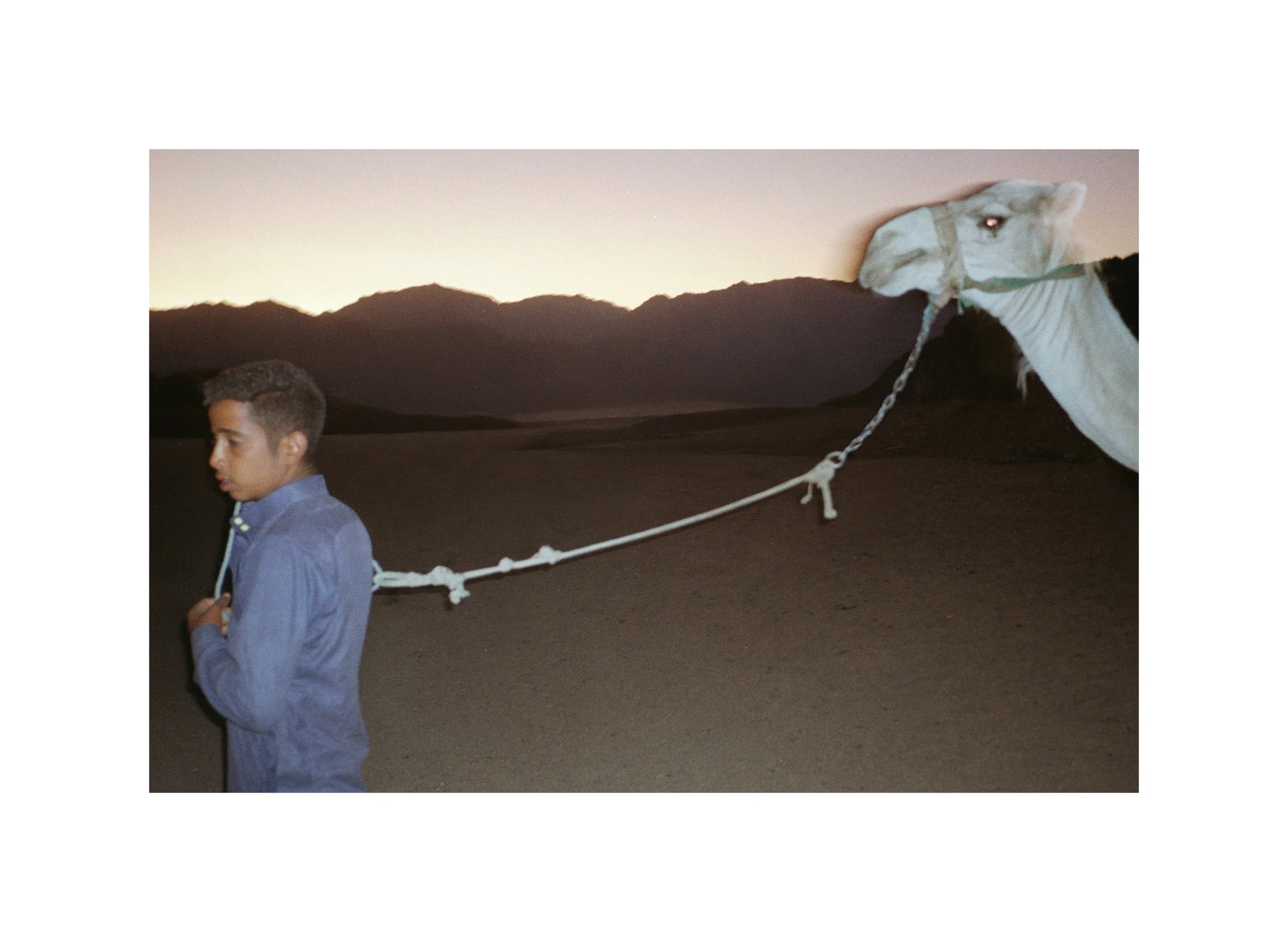 Archive_MIısr_2747_0100 copy 2.jpg