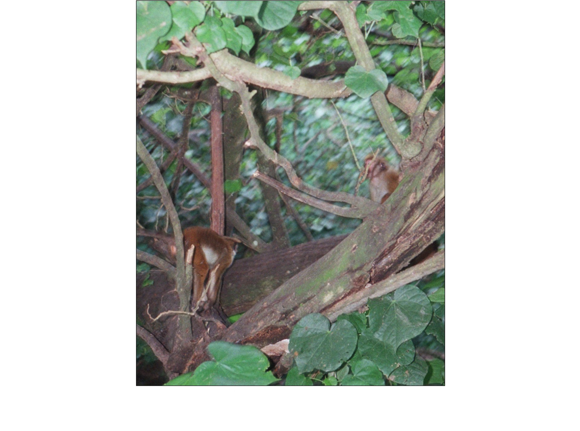 24dd3443-6b31-4979-9c4e-30f727cc2f51 copy.jpg