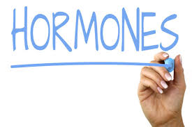 hormones.jpeg