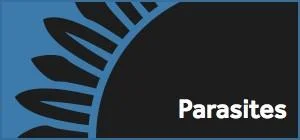 ltParasites_large.jpg