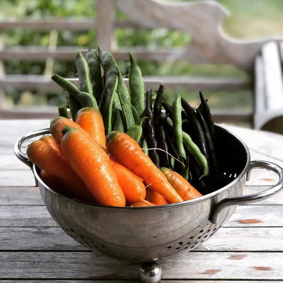 VEG.jpg