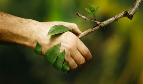 Women's Environmental Network