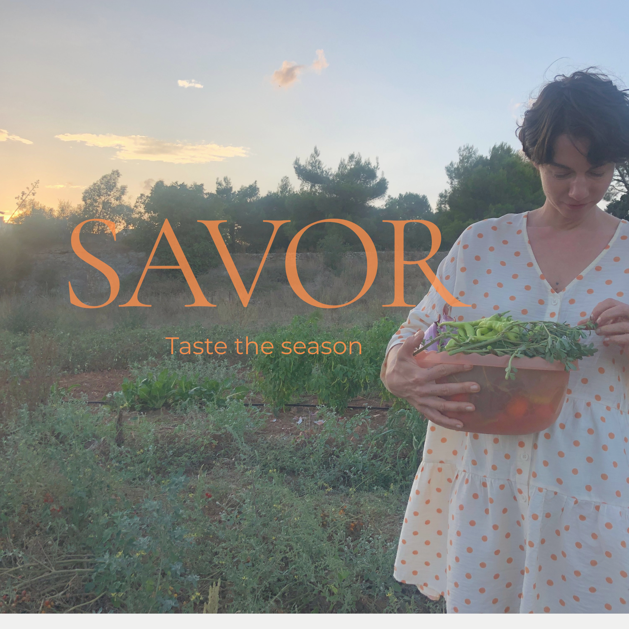 SAVOR  Savor the season.  Ein kuratierter Guide für warme Tage.  Mit sommerlichen Inspirationen zu Ernährung, erfrischenden Getränken, ätherischen Ölen und kleinen Ritualen, die dich durch die Saison begleiten.