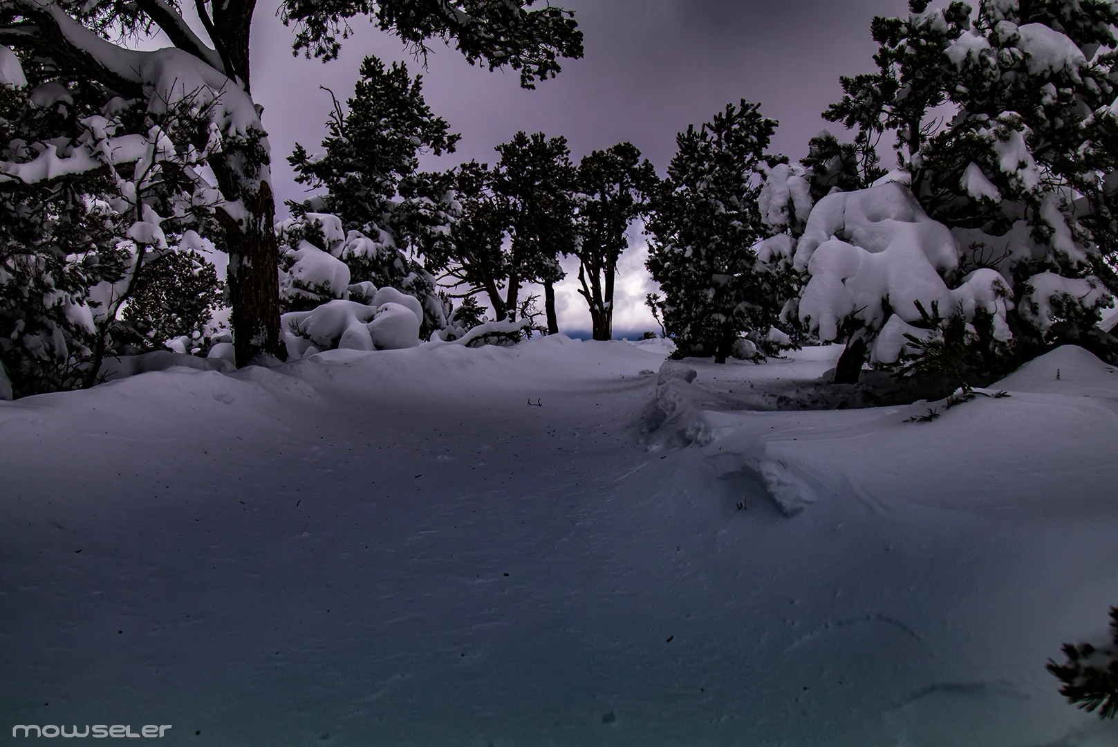 HiddenPath.jpg