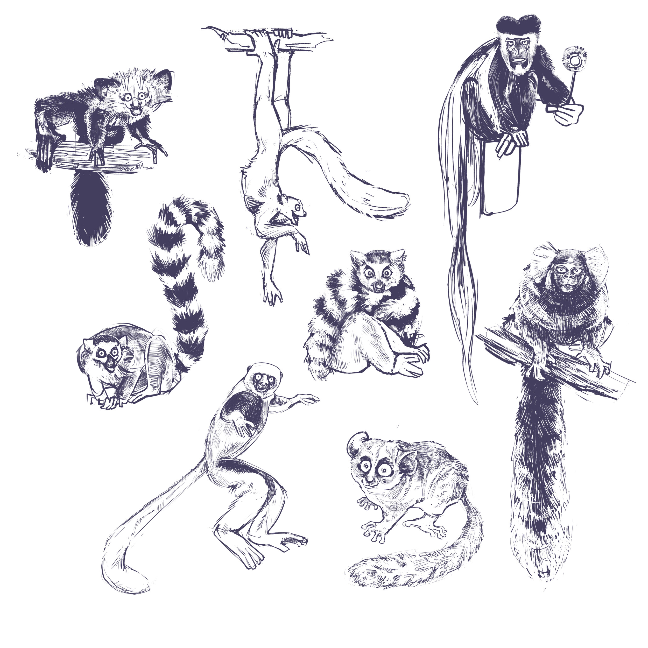 Weird lil primates.jpg