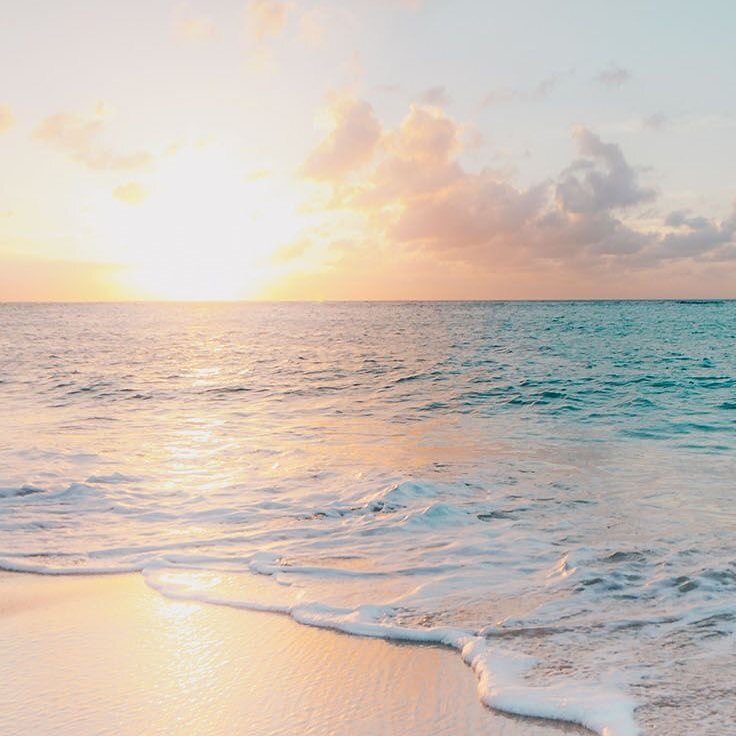 Surrender to the opportunity of freedom. 🌊