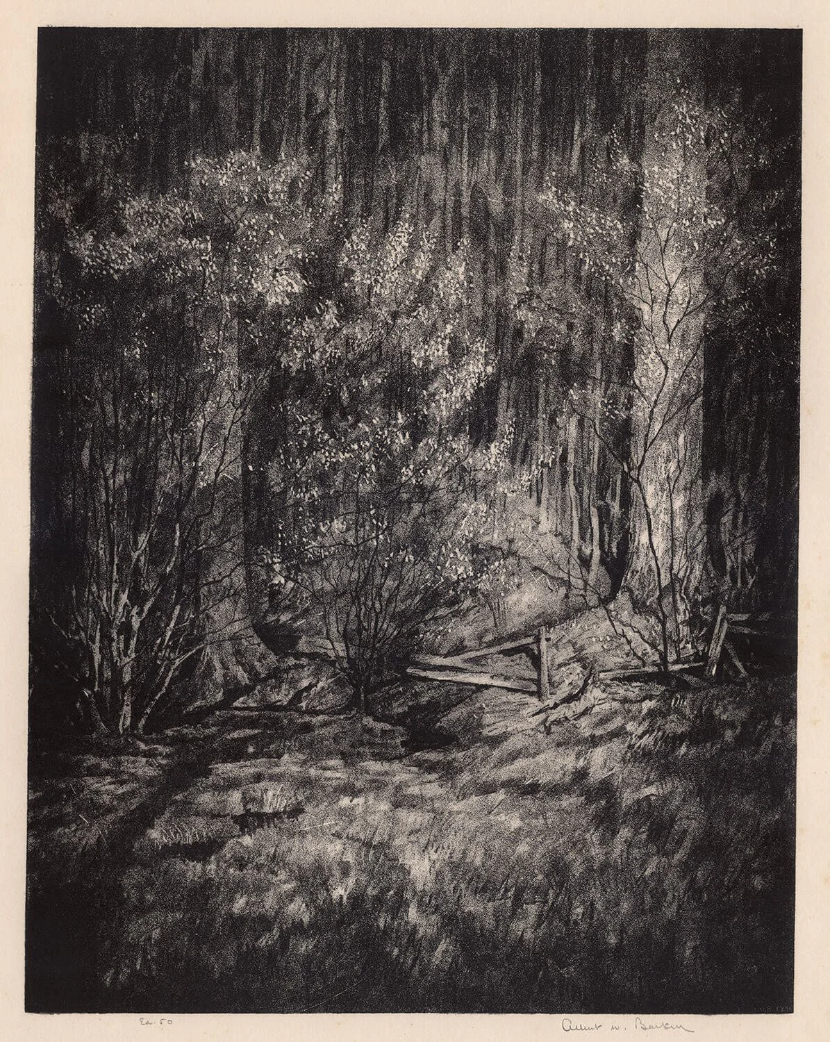 The Tapestry of Spring