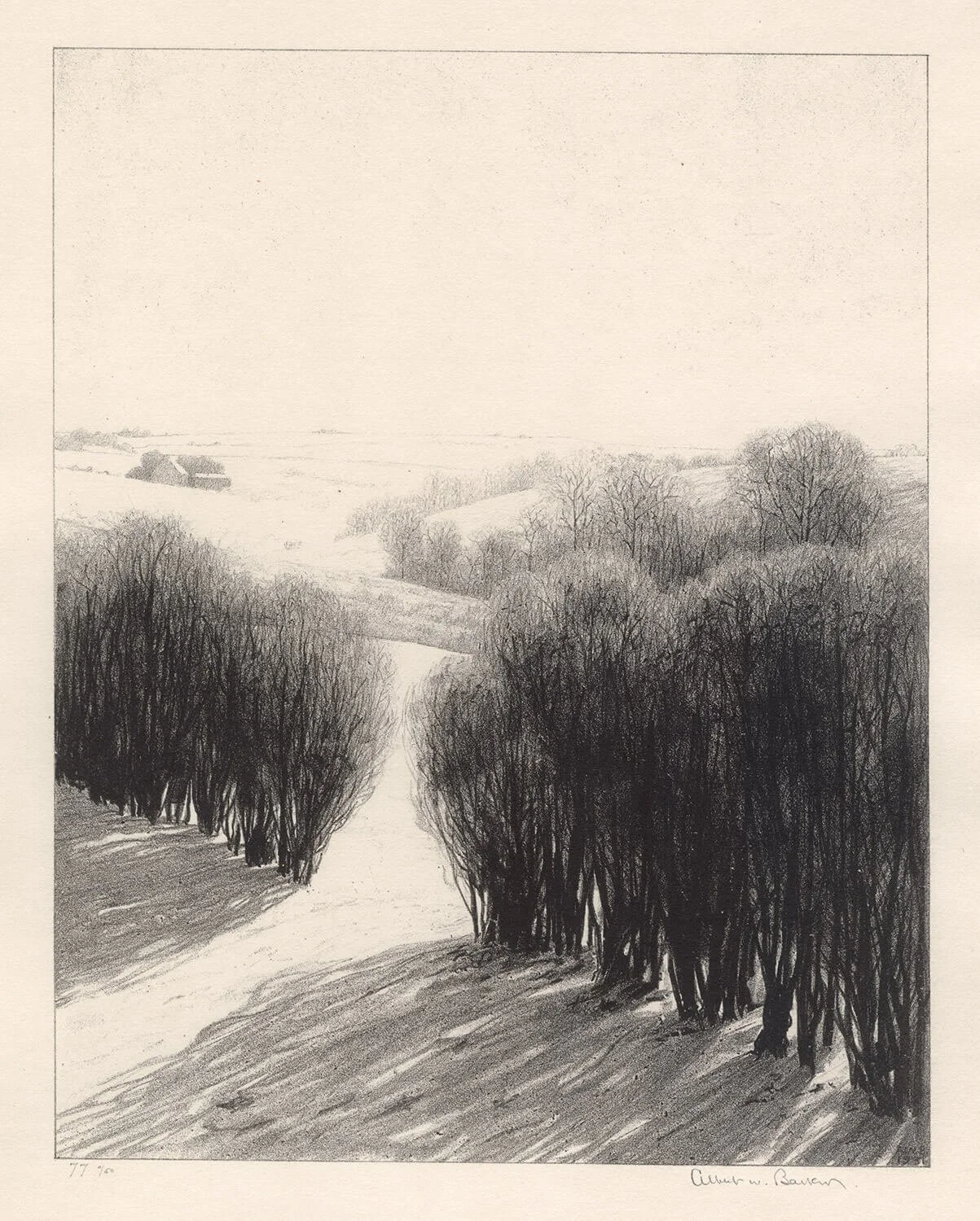 The Windbreak