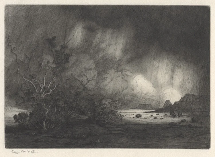 George Elbert Burr, Desert Shower