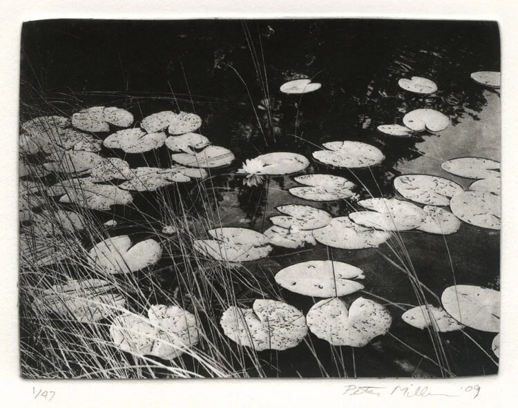 Peter Miller, Bygones