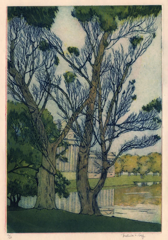 Field Museum Through Trees