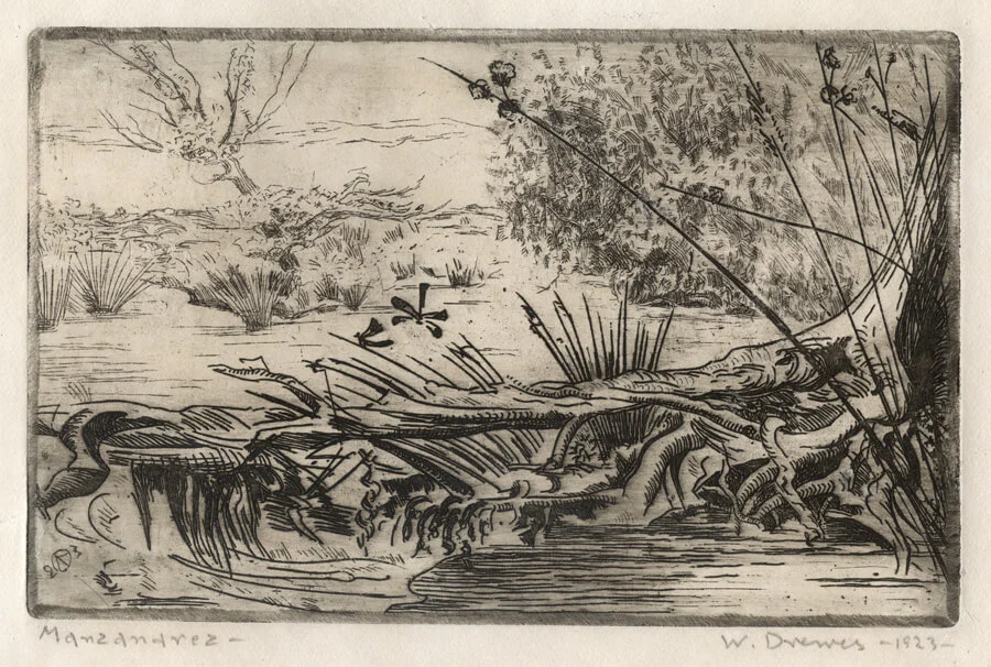 Manzanarez River above Madrid