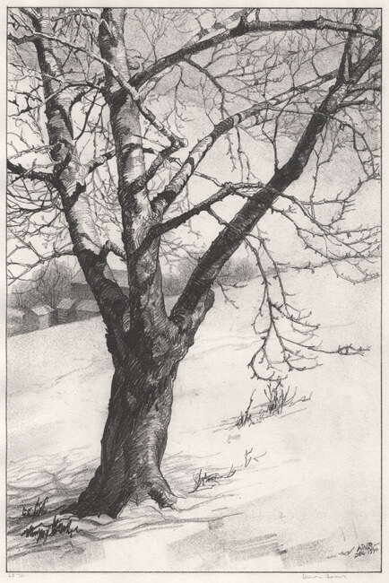 The Tree in the Field