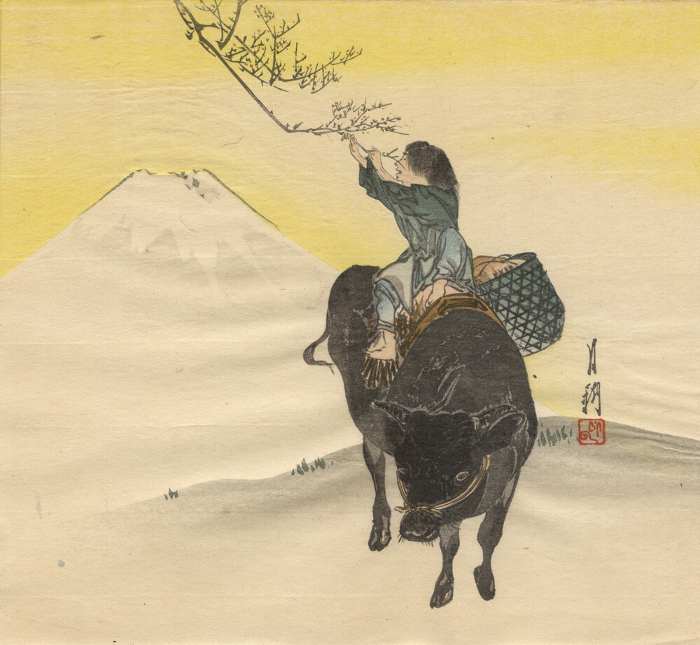 Ogata Gekko, Boy on an Ox, Picking the First Spring Blossom