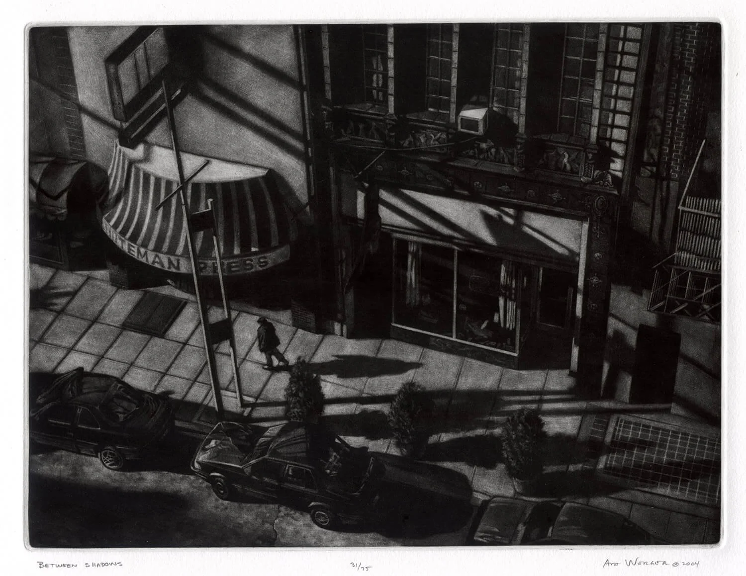 Werger_BetweenShadows.jpg