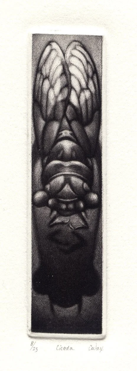 Wax_Cicada.jpg