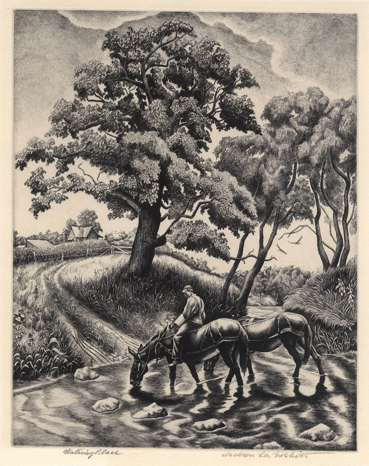 Watering Place