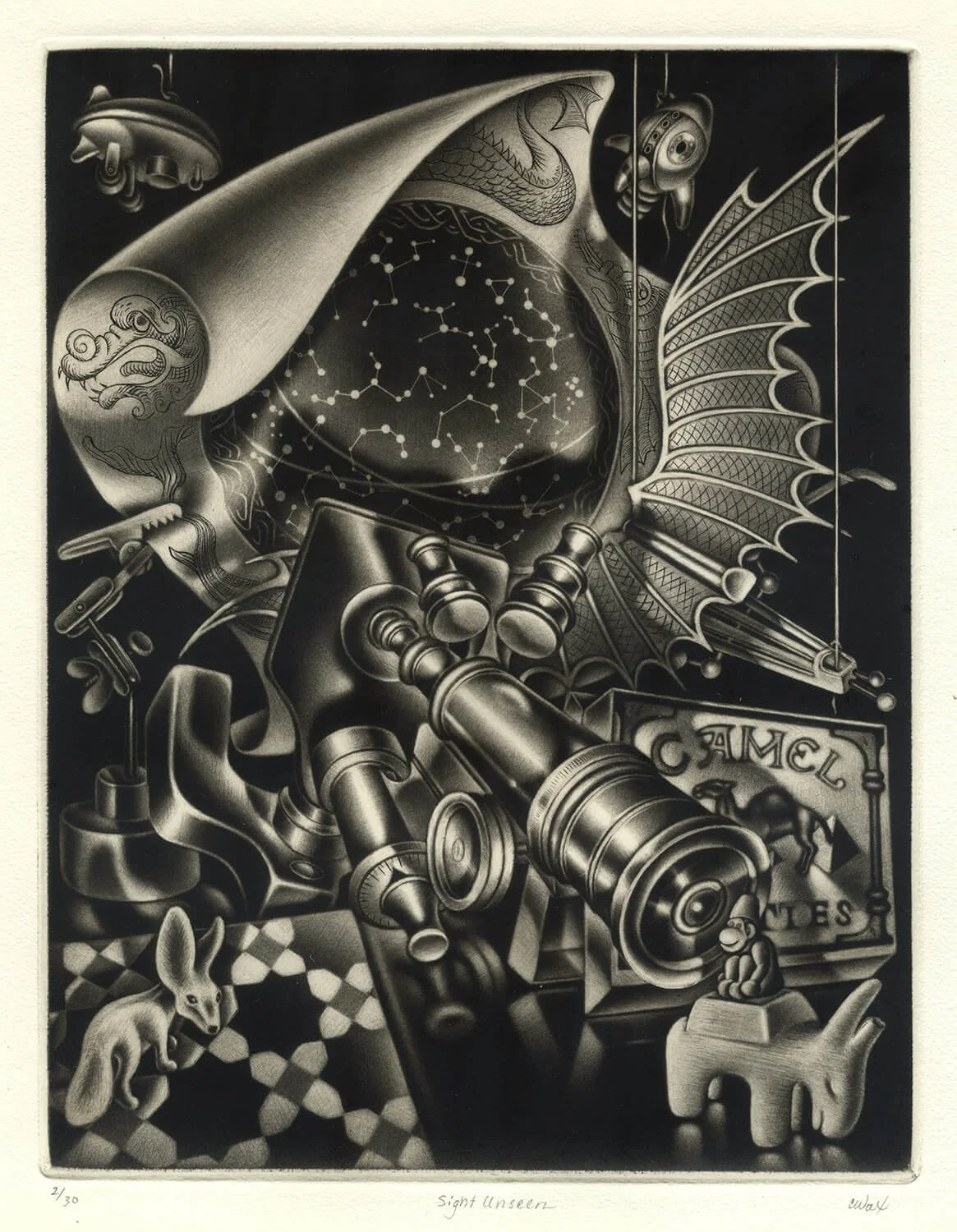 Carol Wax, Sight Unseen