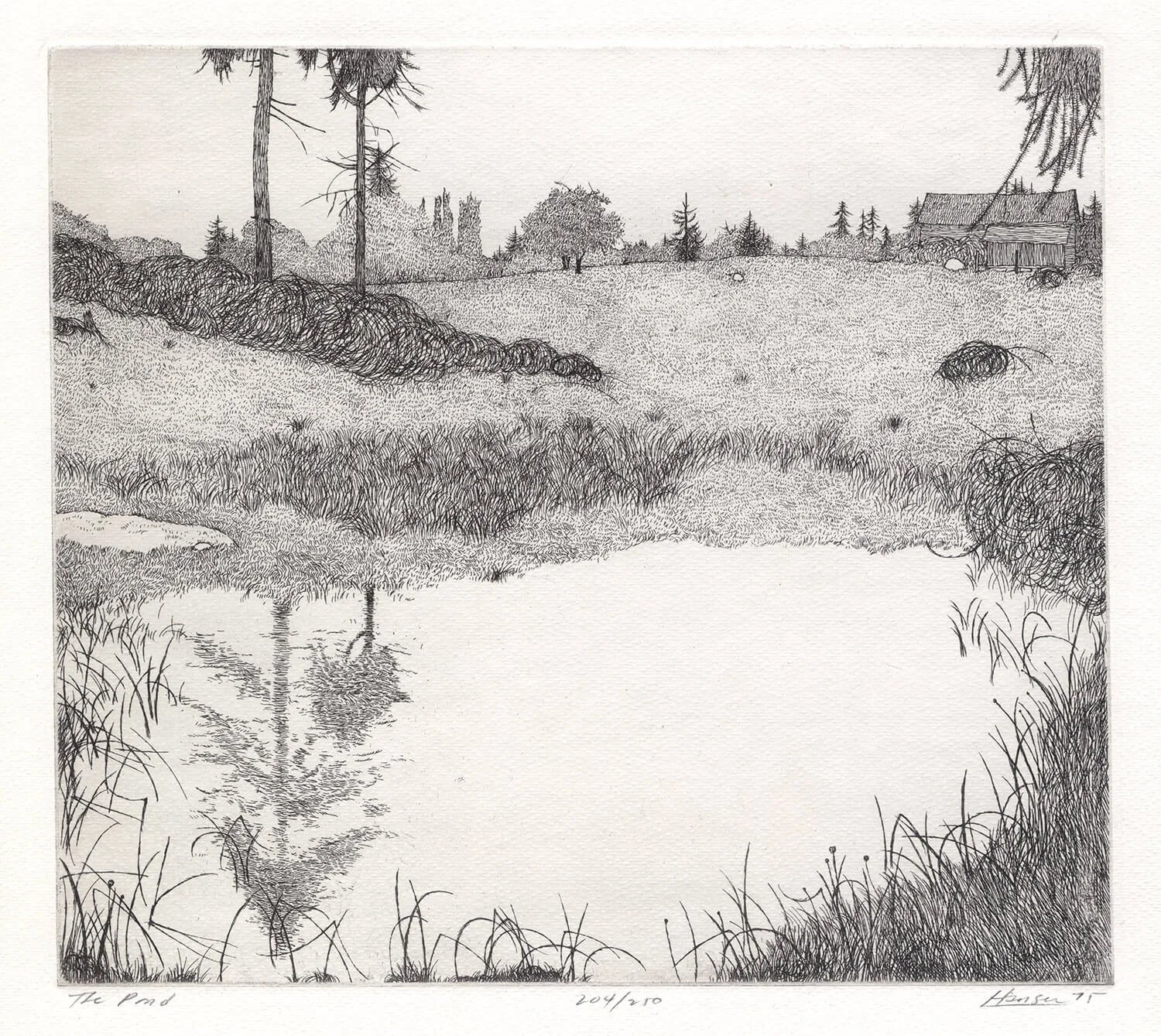 Hansen_Pond.jpg