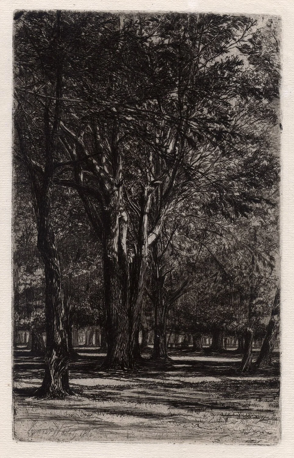 Seymour Haden, Kensington Gardens, Nº II (Large Plate)