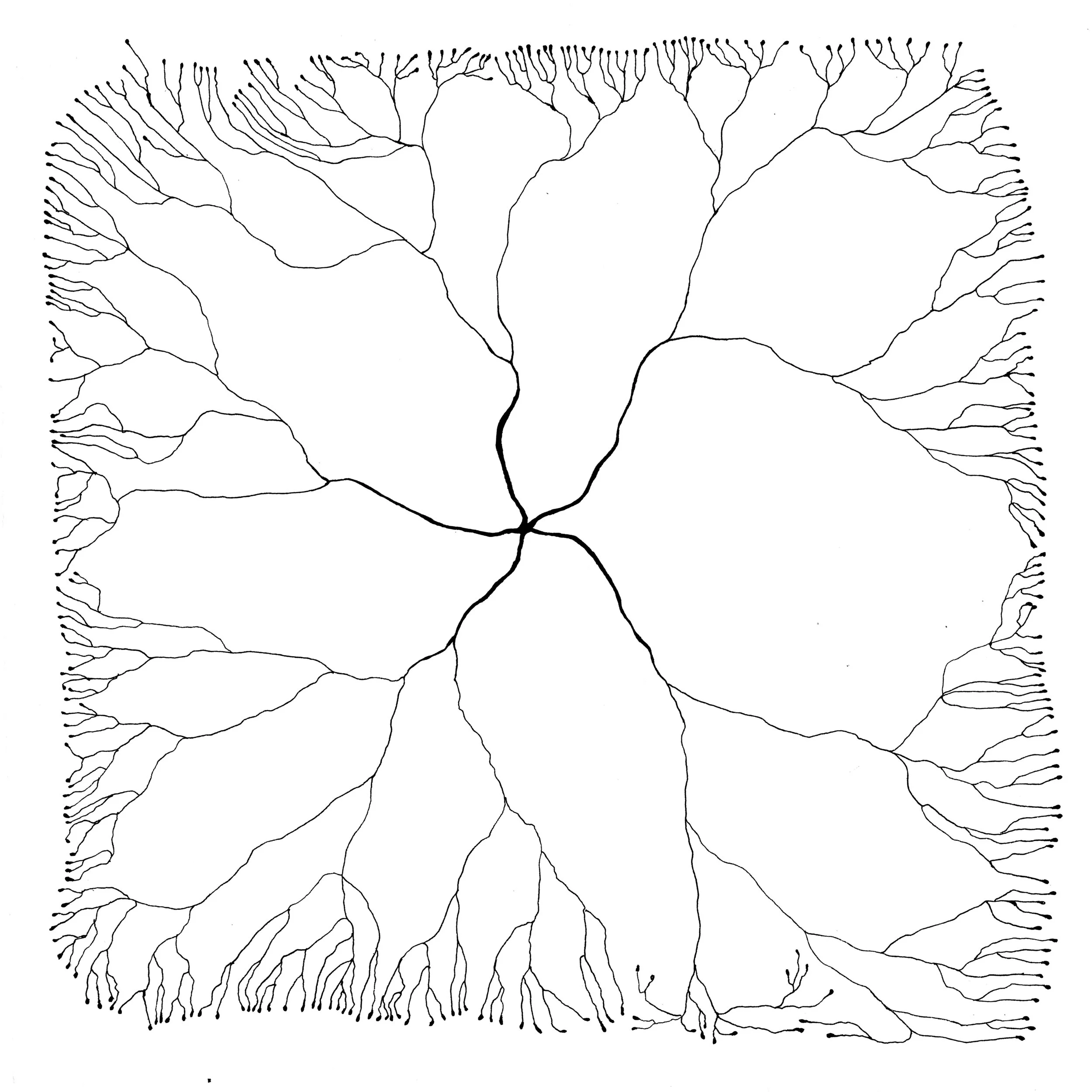 neurons5.jpg