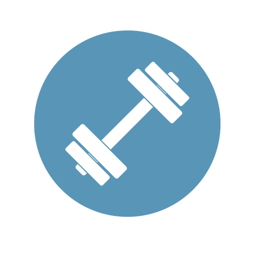 Fitness icon.png