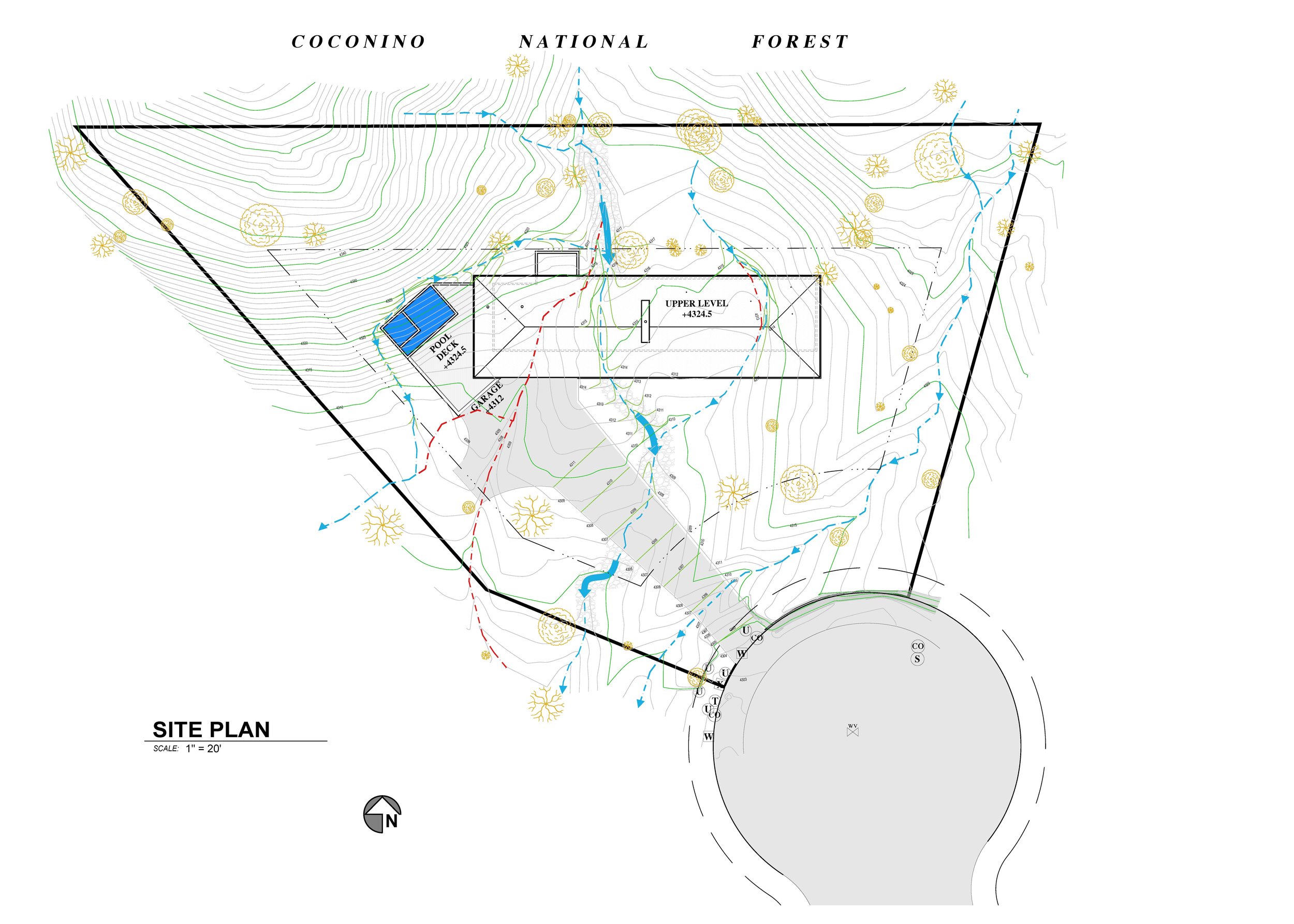 A1.0 Thomas Site Plan.jpg