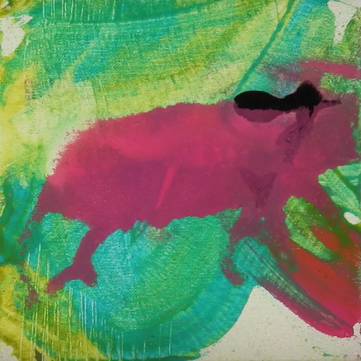 Flying Pig