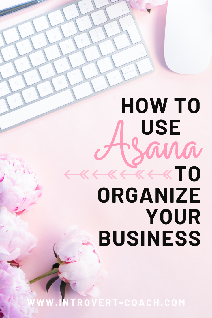 How to Use Asana to Organize Your Business