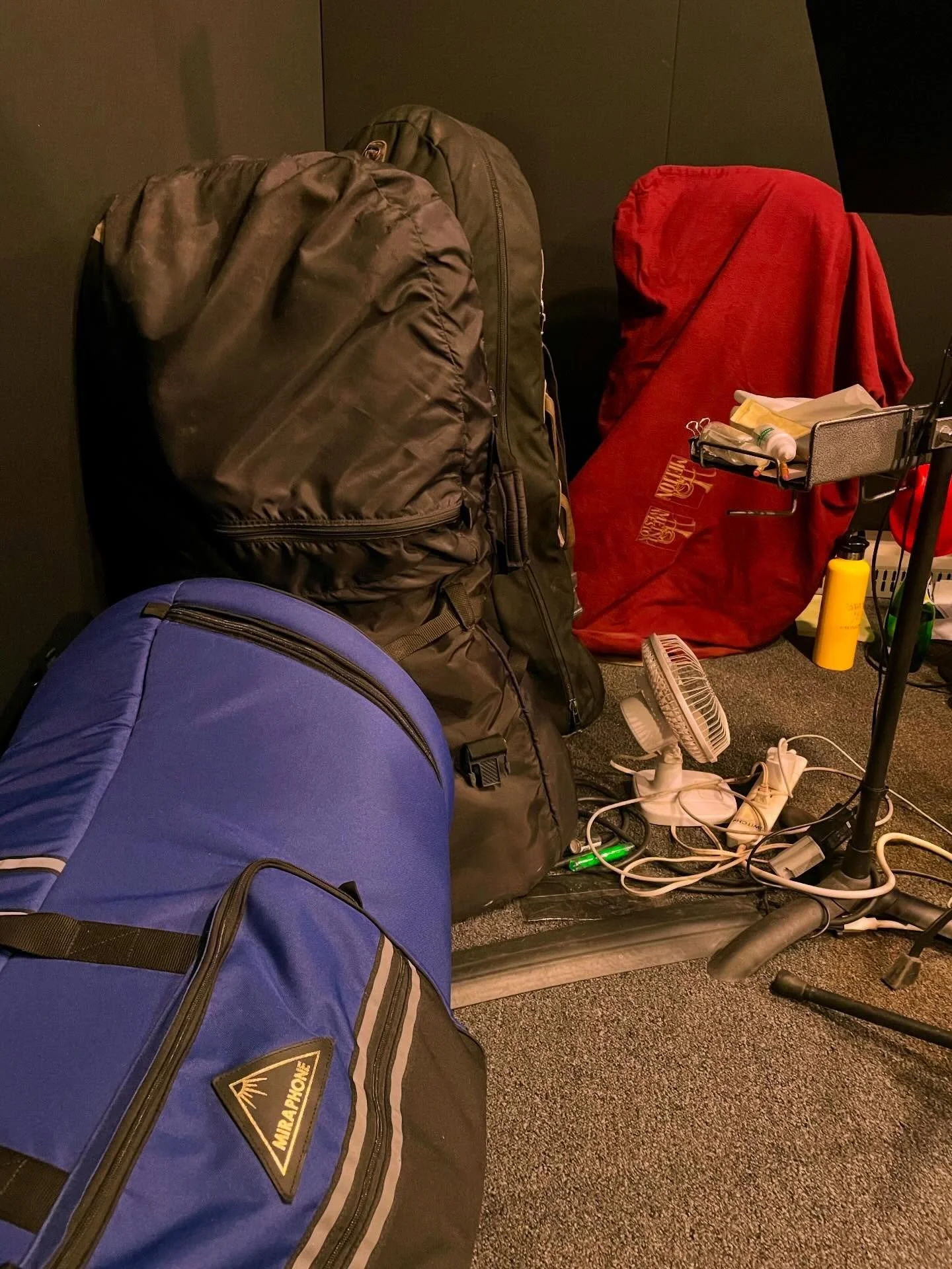 The Lion King tuba corral, at the Minskoff!
&bull;
&bull;
#lionkingbroadway #tuba #broadwaymusicians #fourtubasnowaiting #jeffnelsontrb