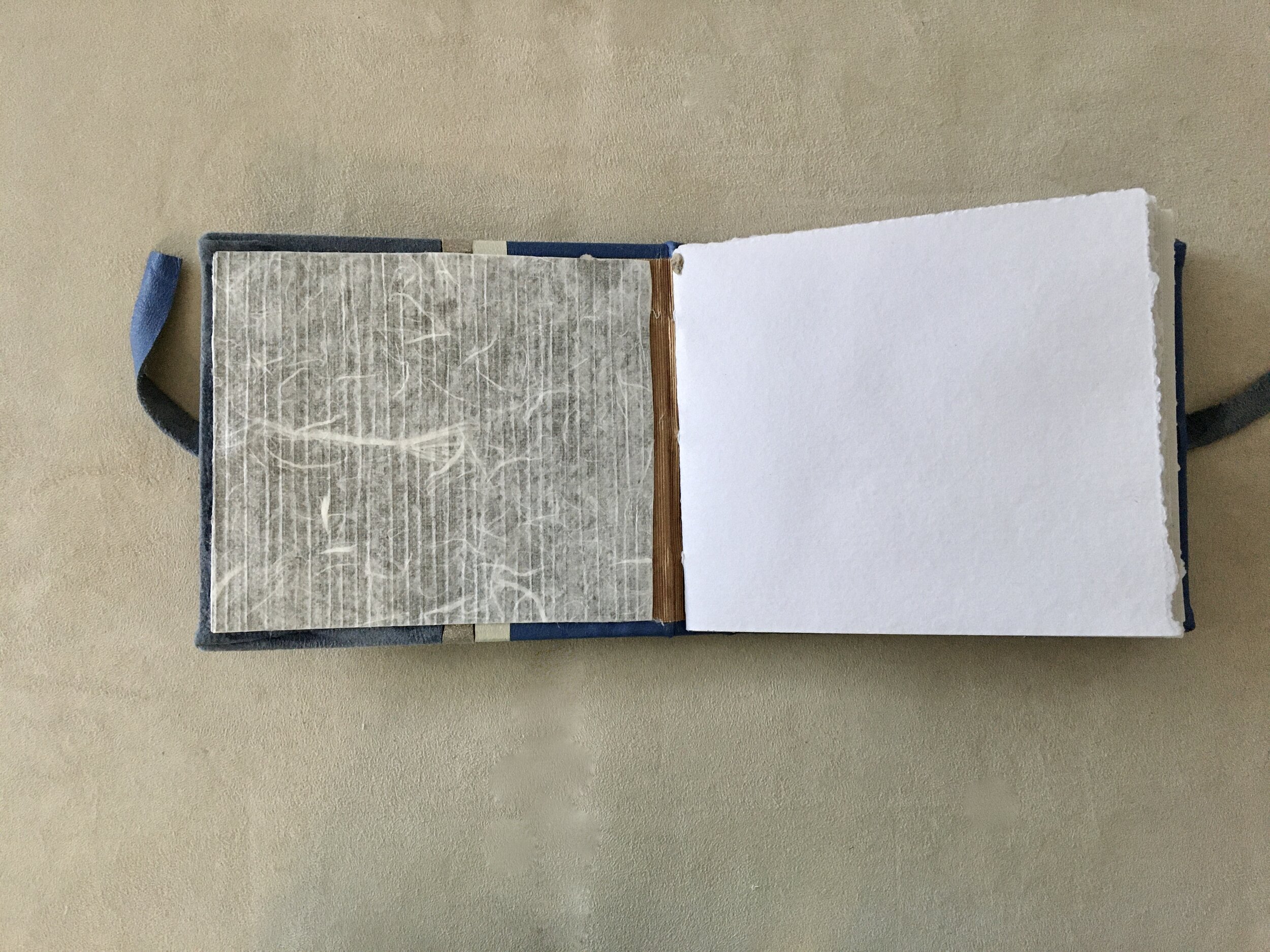 2CDEB303-02BF-4322-AF3B-0C66D04D70B2_1_201_a.jpeg