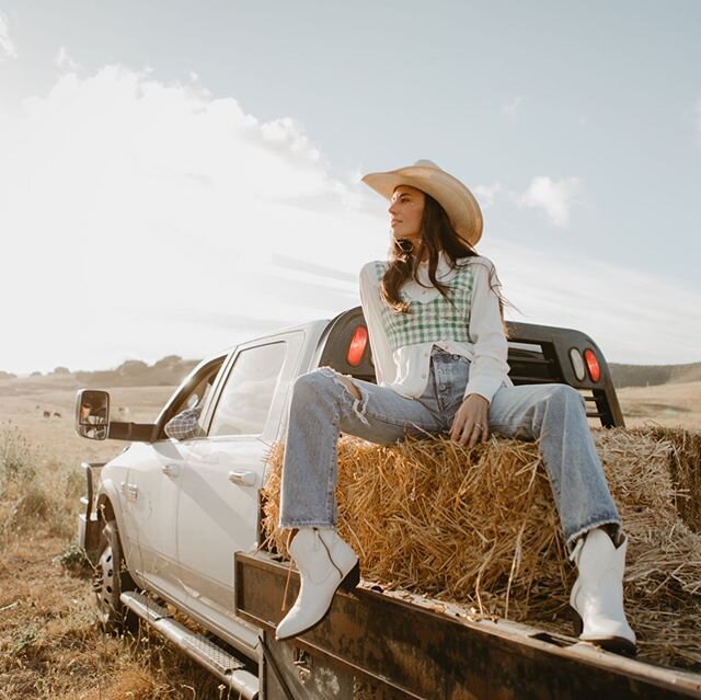 I&rsquo;d love to caption this photo something like &ldquo;Feeding but make it fashun&rdquo; but all I can think of when I look at these is how @lukebranquinho kept yelling tips out the window about how to most photogenically feed cows. Most of his c