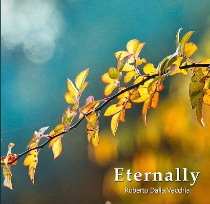 Eternally is my latest release. It&rsquo;s a folky solo guitar tune, cozy, melodic and relaxing. Thanks for listening!!