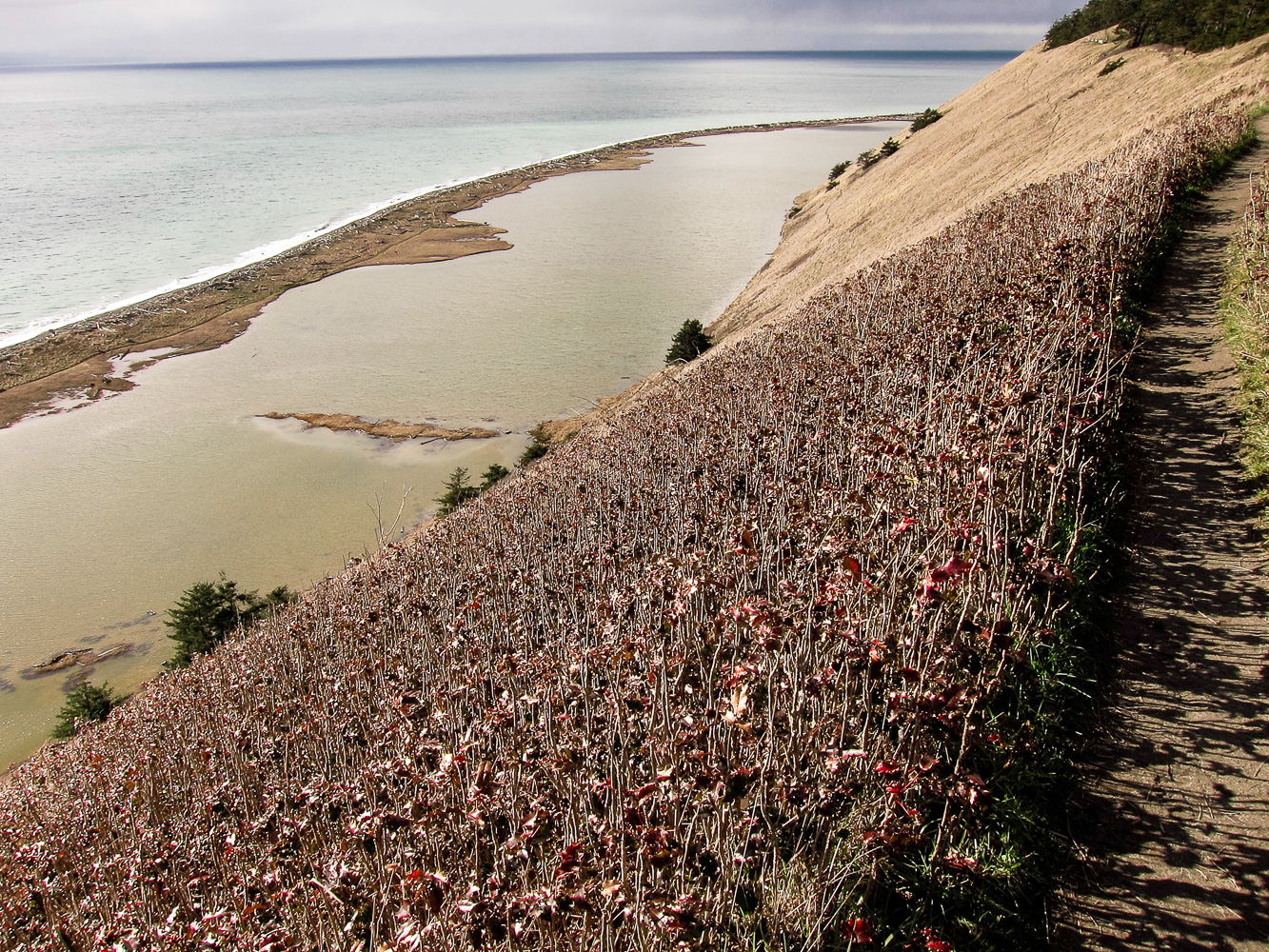Ebey's Landing 6